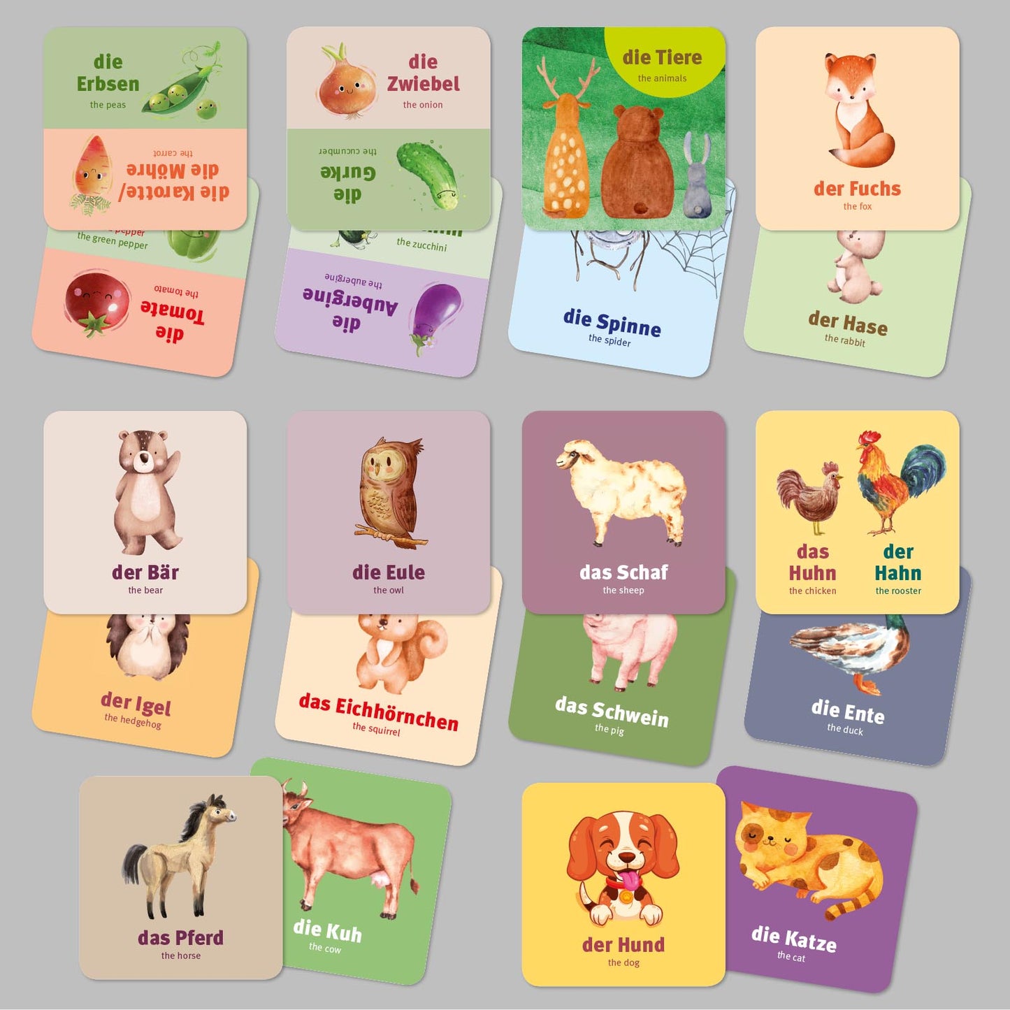 30 SPRACHKARTEN Deutsch & Englisch Box 1